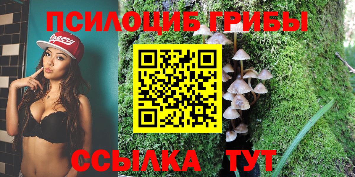 Галлюциногенные грибы мицелий  Вход с VPN  Уварово 